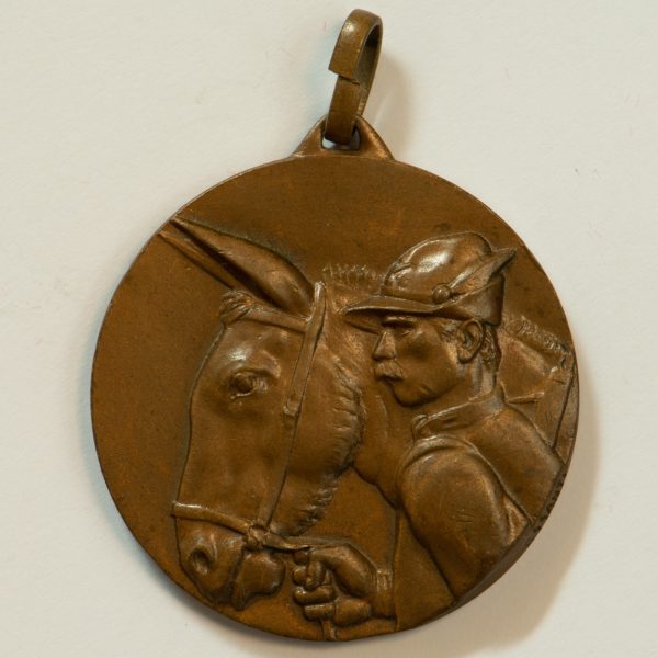 NA0111 - Medaglia Italia 15° Adunata Annuale Alpini 1934 Roma