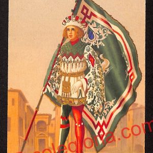 ai5457 CARTOLINA D'EPOCA - I 17 Paggi delle Storiche Contrade di Siena : Oca