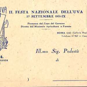 ab3441 - CARTOLINA D'EPOCA - Roma Città - FESTA NAZIONALE DELL' UVA