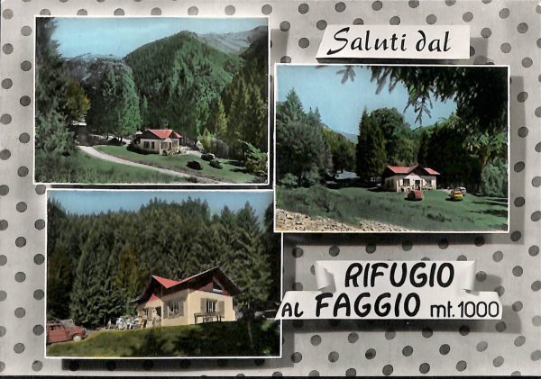 ab5912   - CARTOLINA  D'EPOCA - Trento Provincia : RIFUGIO 1967