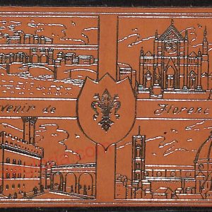 ae6546 - CARTOLINA D'EPOCA - VERA PELLE - Firenze - Panorama