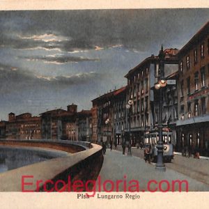 ad0232 - CARTOLINA D'EPOCA - Pisa Città - Lungarno Regio