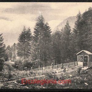 ad9913 - CARTOLINA  D'EPOCA - Aosta Provincia - Courmayeur