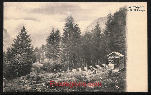 ad9913 - CARTOLINA  D'EPOCA - Aosta Provincia - Courmayeur
