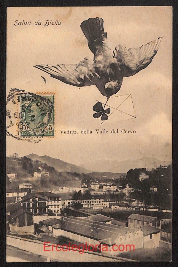 ae1790 - CARTOLINA  D'EPOCA - Biella Città - Veduta della Valle del Cervo
