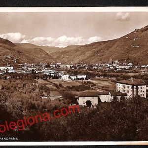 ah8719 - CARTOLINA D'EPOCA - Pistoia Provincia - Pescia