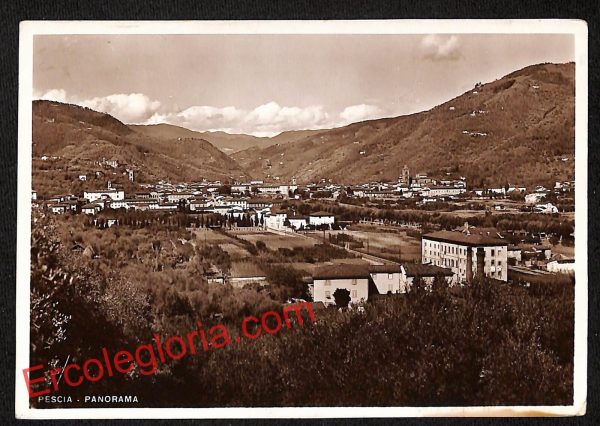 ah8719 - CARTOLINA D'EPOCA - Pistoia Provincia - Pescia