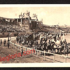 ai8608 -CARTOLINA D'EPOCA - Torino Città - Stendardi del Duca Emanuele Filiberto