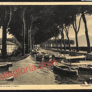 ag6307 - CARTOLINA D'EPOCA - Lucca Città - Passeggiata delle Mure