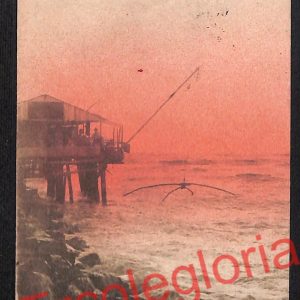 ag6908 - CARTOLINA D'EPOCA - Lucca Provincia - Viareggio