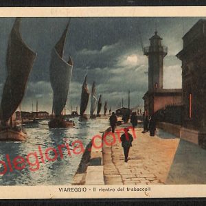 ag6942 - CARTOLINA D'EPOCA - Lucca Provincia - Viareggio