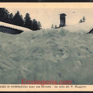 ae0273 - CARTOLINA  D'EPOCA - Arezzo Provincia - Camaldoli