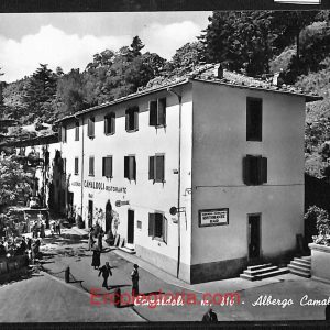 ae0285 - CARTOLINA  D'EPOCA - Arezzo Provincia - Camaldoli
