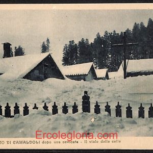 ae0286 - CARTOLINA  D'EPOCA - Arezzo Provincia - Camaldoli