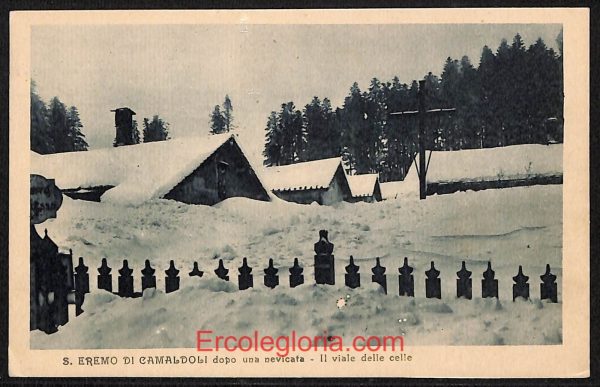 ae0286 - CARTOLINA  D'EPOCA - Arezzo Provincia - Camaldoli