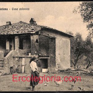 ad6818 - CARTOLINA D'EPOCA - Pisa Provincia - CASCIANA  1910