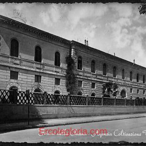 ae0368 - CARTOLINA  D'EPOCA - Arezzo Provincia - Foiano della Chiana  1955