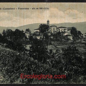ae0387 - CARTOLINA  D'EPOCA - Arezzo Provincia - Faltona  1941