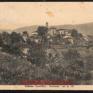 ae0388 - CARTOLINA  D'EPOCA - Arezzo Provincia - Faltona