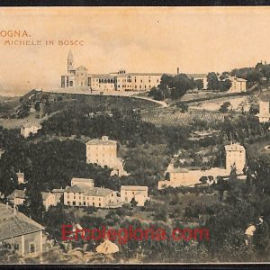 ae1981 - CARTOLINA  D'EPOCA - Bologna Città - S. Michele on Bosco