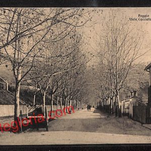 ai0533 - CARTOLINA D'EPOCA - Rieti Provincia - Poggio Mirteto