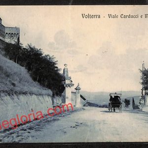 ah7736 - CARTOLINA D'EPOCA - Piacenza Provincia - Volterra
