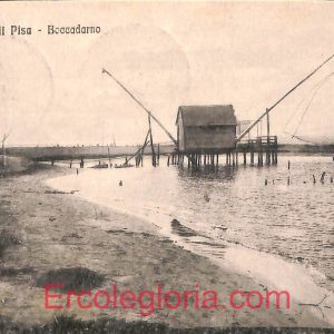 ad6934 - CARTOLINA D'EPOCA - Pisa Provincia - Marina di Pisa  1919