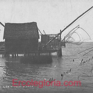 ad6935 - CARTOLINA D'EPOCA - Pisa Provincia - Marina di Pisa