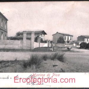 ad6943 - CARTOLINA D'EPOCA - Pisa Provincia - Marina di Pisa