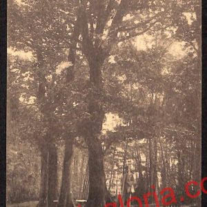 ah6213 - CARTOLINE  D'EPOCA - Pavia Provincia - Salice Terme