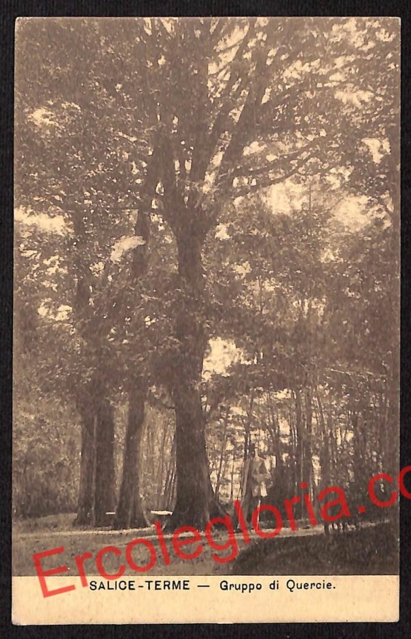 ah6213 - CARTOLINE  D'EPOCA - Pavia Provincia - Salice Terme