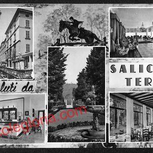 ah6229 - CARTOLINE  D'EPOCA - Pavia Provincia - Salice Terme