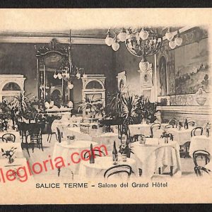 ah6231 - CARTOLINE  D'EPOCA - Pavia Provincia - Salice Terme
