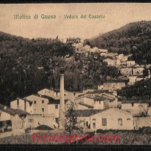 ad7010 - CARTOLINA D'EPOCA - Pisa Provincia - Molina di Quosa
