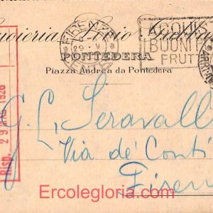 ad7024 - CARTOLINA D'EPOCA - Pisa Provincia - Pontedera  1926