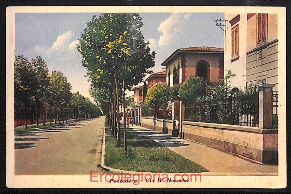 ad7029 - CARTOLINA D'EPOCA - Pisa Provincia - Pontedera
