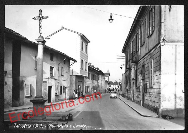 ah6250 - CARTOLINE  D'EPOCA - Pavia Provincia - Trivolzio