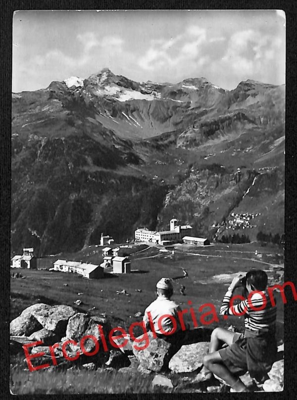 ai6996 - CARTOLINA D' EPOCA - Sondrio Provincia - Campodolcino