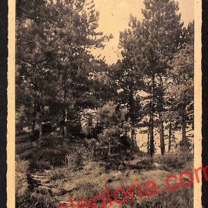 ah6276 - CARTOLINE  D'EPOCA - Pavia Provincia - Zavattarello