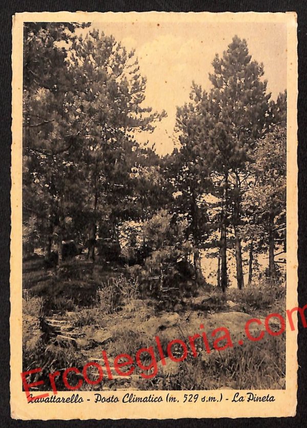 ah6276 - CARTOLINE  D'EPOCA - Pavia Provincia - Zavattarello