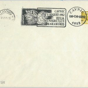 66452 - ROMANIA  - Postal History - Postal Stationery Cover 1982 - MINERALS