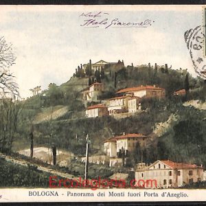 ae1994 - CARTOLINA  D'EPOCA - Bologna Città - Panorama