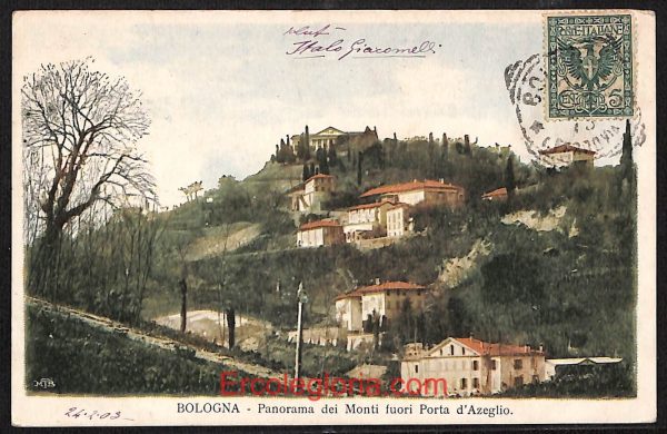 ae1994 - CARTOLINA  D'EPOCA - Bologna Città - Panorama
