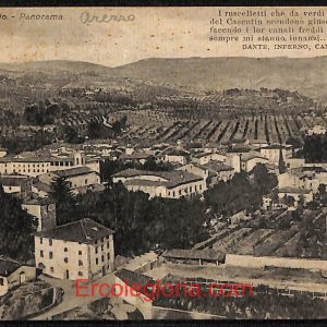 ae0475 - CARTOLINA  D'EPOCA - Arezzo Provincia - Pratovecchio