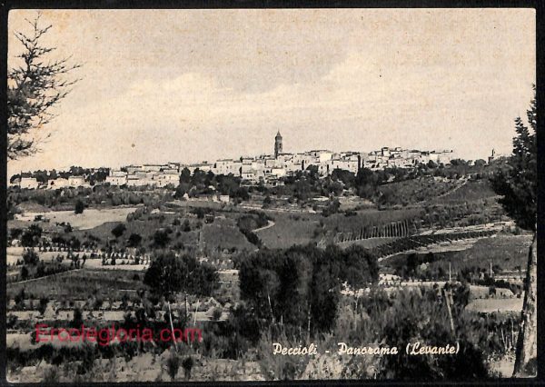 ad7109 - CARTOLINA D'EPOCA - Pisa Provincia - Peccioli