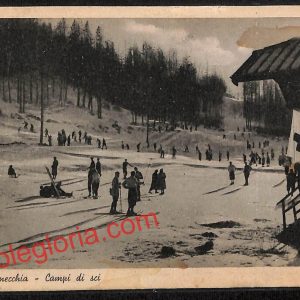 ai8831 - CARTOLINA D'EPOCA - Torino Provincia - Bardonecchia