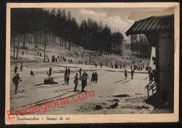 ai8831 - CARTOLINA D'EPOCA - Torino Provincia - Bardonecchia