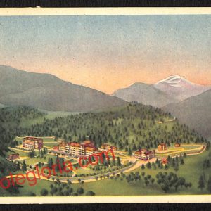 ai7129 - CARTOLINA D' EPOCA - Sondrio Provincia - Prasomaso