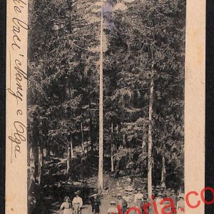 ai8845 - CARTOLINA D'EPOCA - Torino Provincia - Brusson