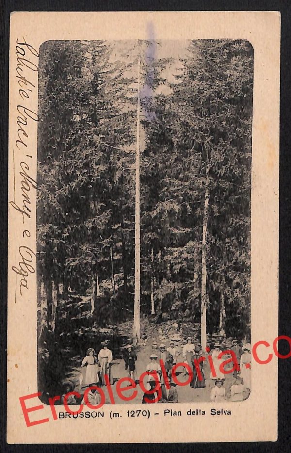ai8845 - CARTOLINA D'EPOCA - Torino Provincia - Brusson
